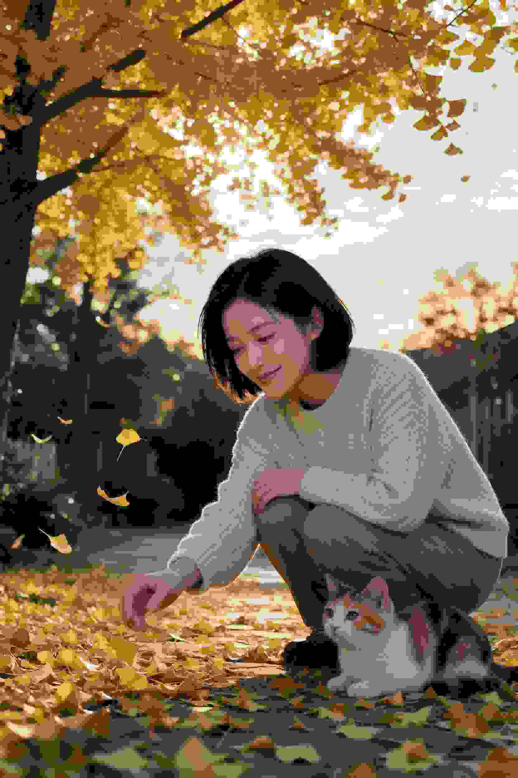 影之月